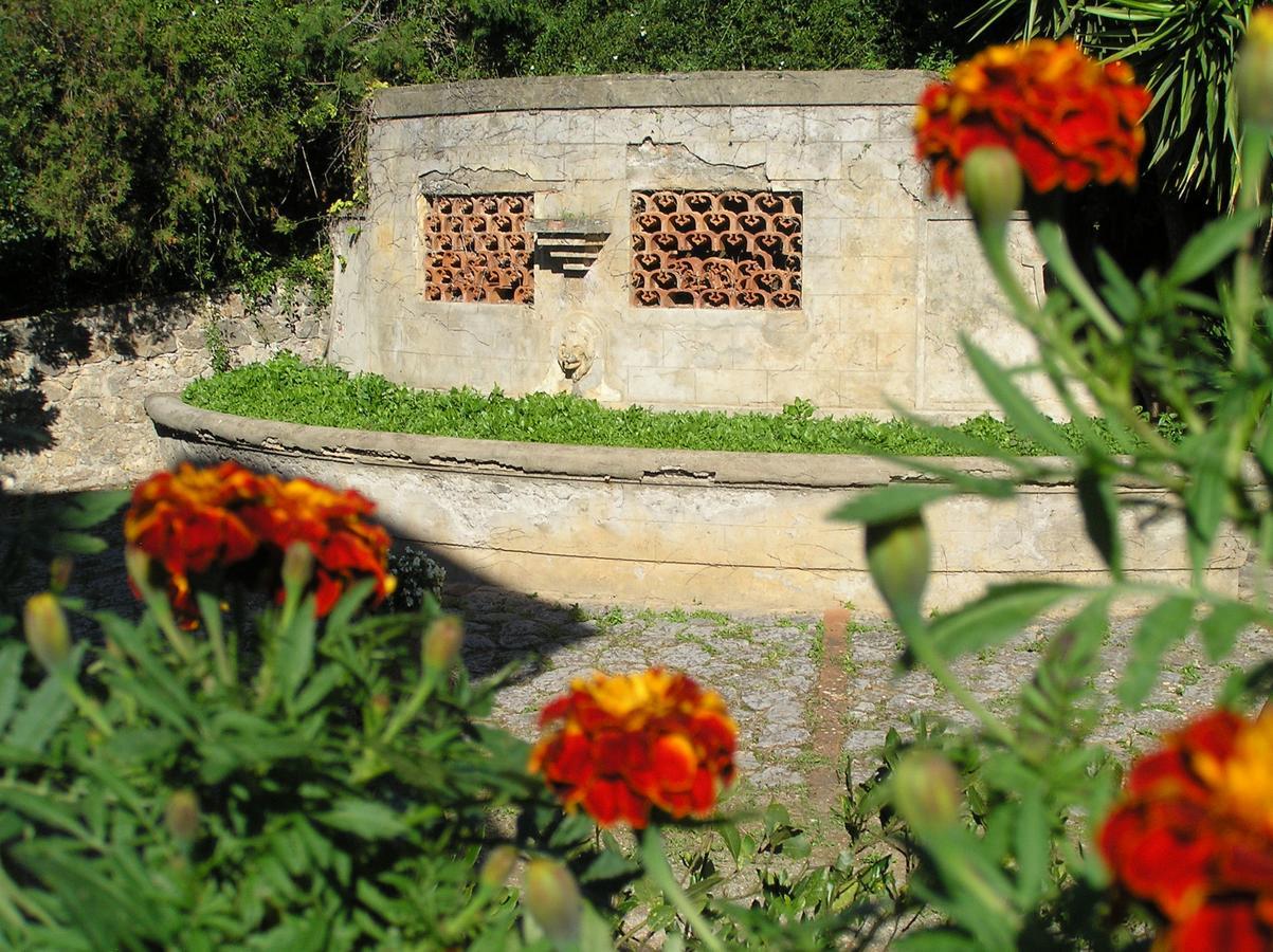 Agriturismo Grazia Orbetello Exterior photo